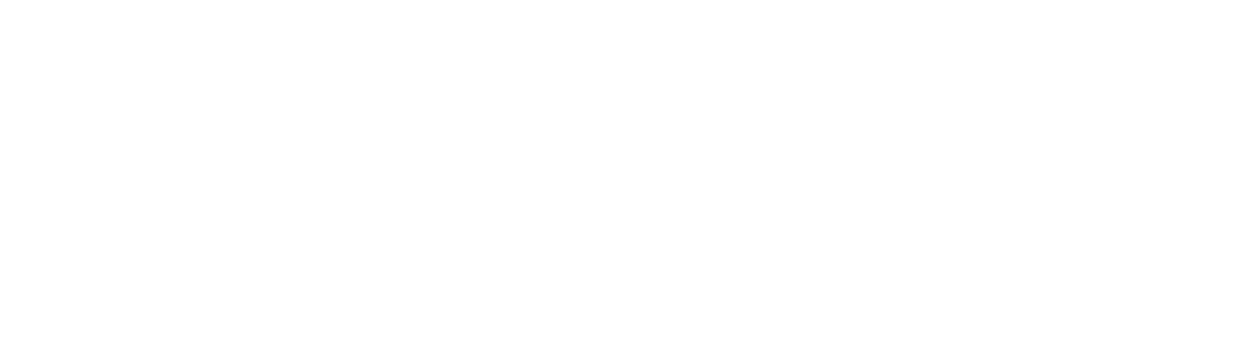 Startupbootcamp Georgia partner